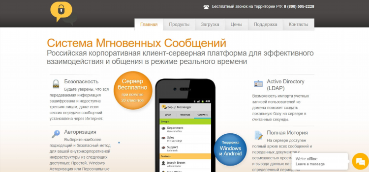 Radmin vpn замена
