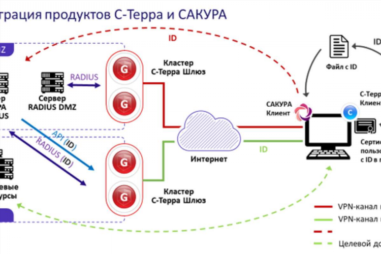 С терра vpn