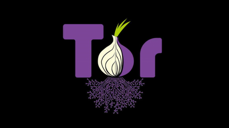 Tor browser vpn скачать бесплатно