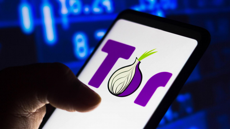 Vpn для даркнета