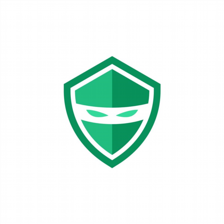 Впн ninja